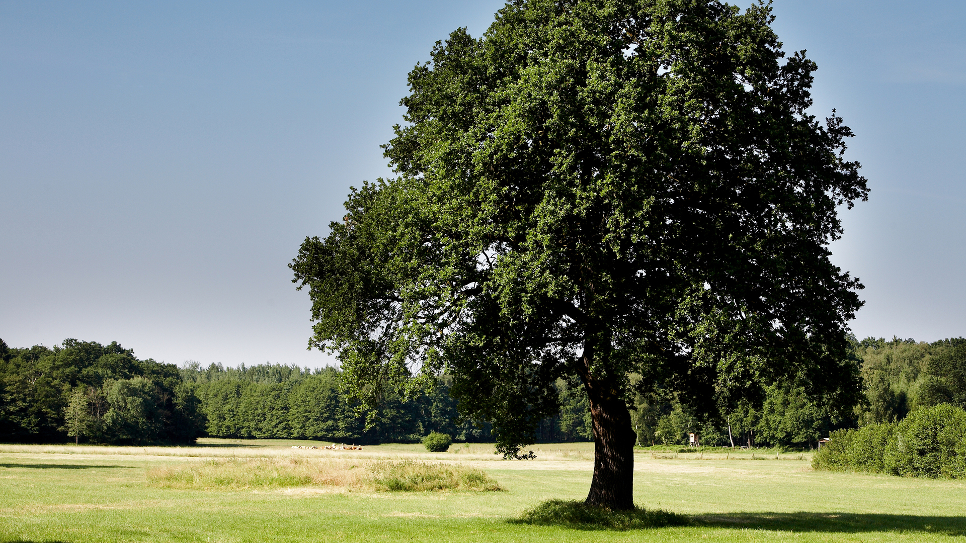 20181501 RW-CWE-D PHO 1