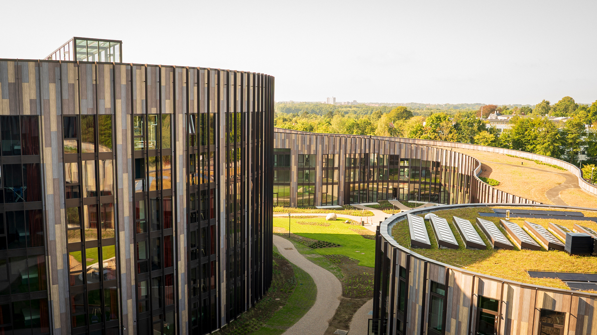 20201203 RW-NC PHO 488