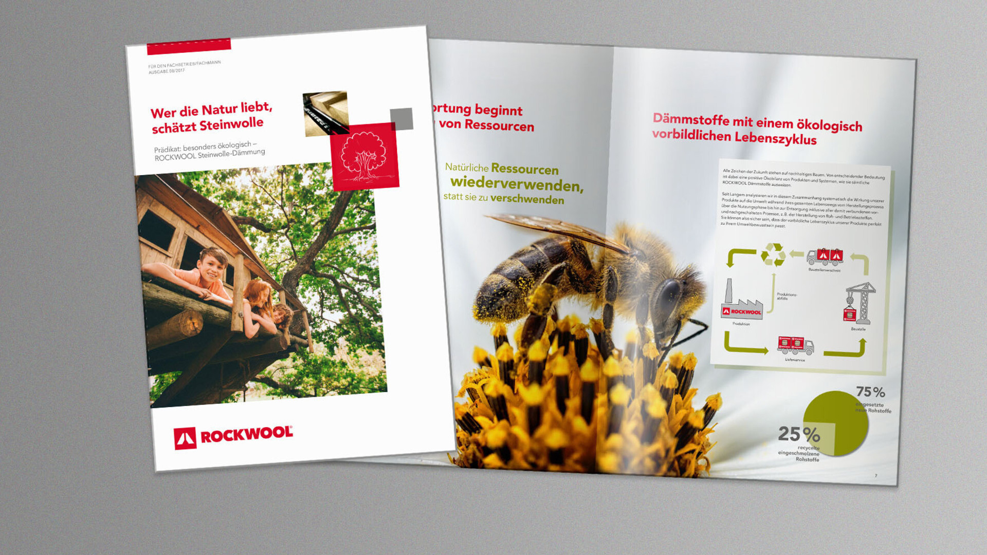 thumb, thumbnail, brochure, brochures, downloads, sustainability, germany, photo, preview photo, Ökologie Broschüre